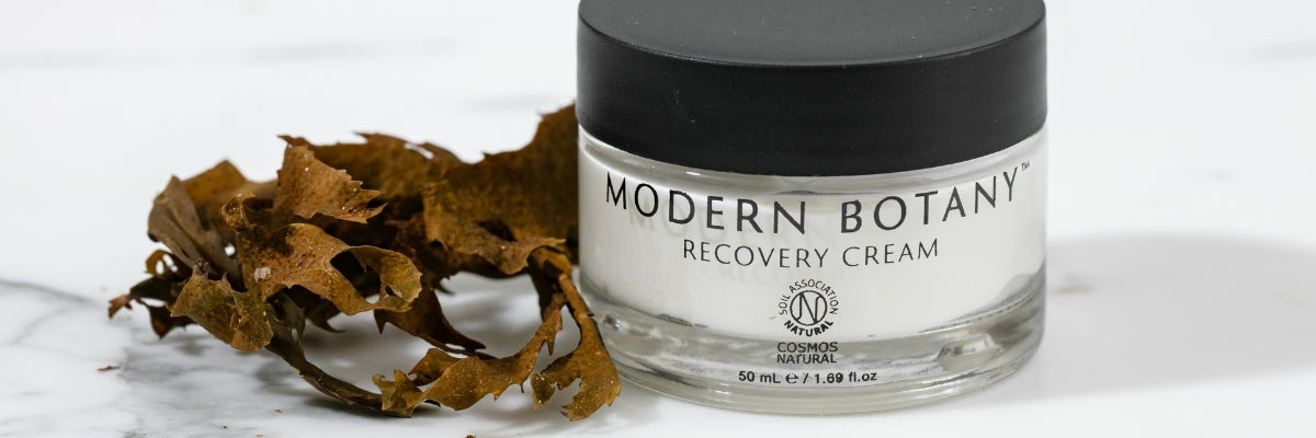 Keep Your Skin Feeling Great with Our Recovery Cream